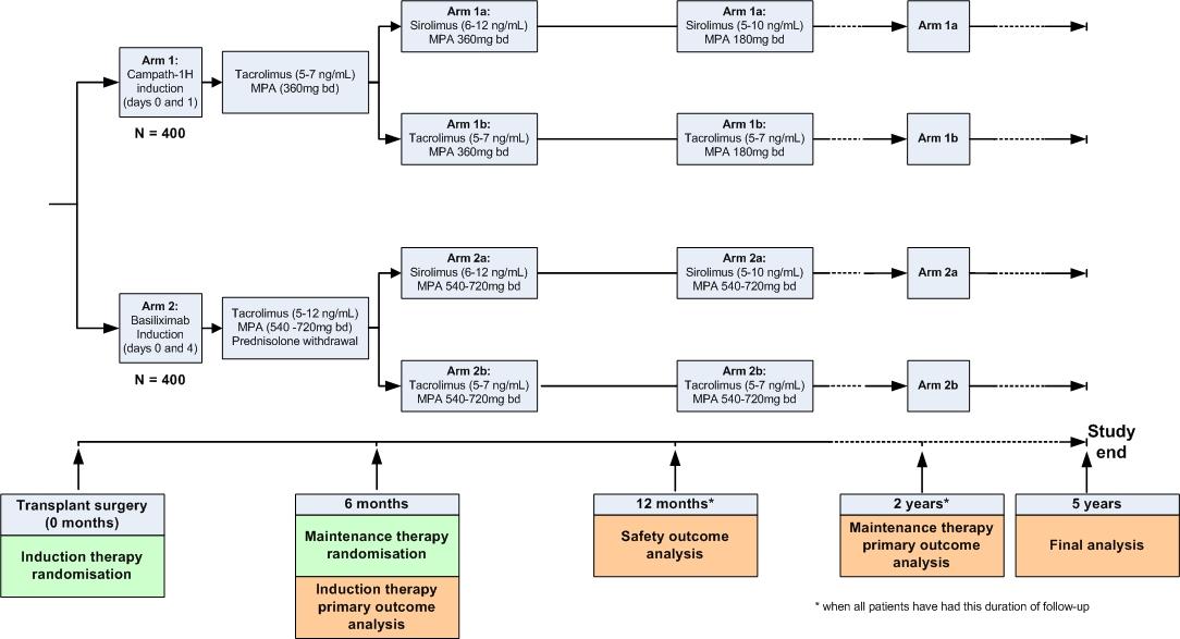 3C Study Design Diagram